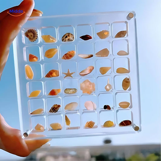 Mariselle | Muslingeskal Displayboks Dekoration