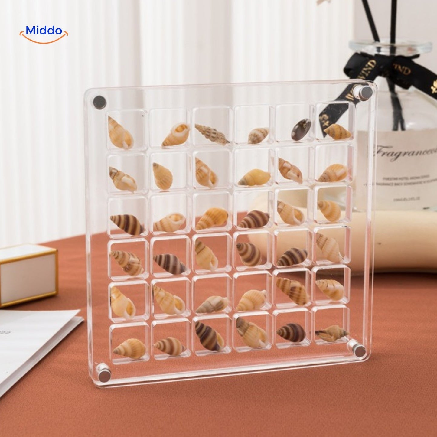 Mariselle | Muslingeskal Displayboks Dekoration