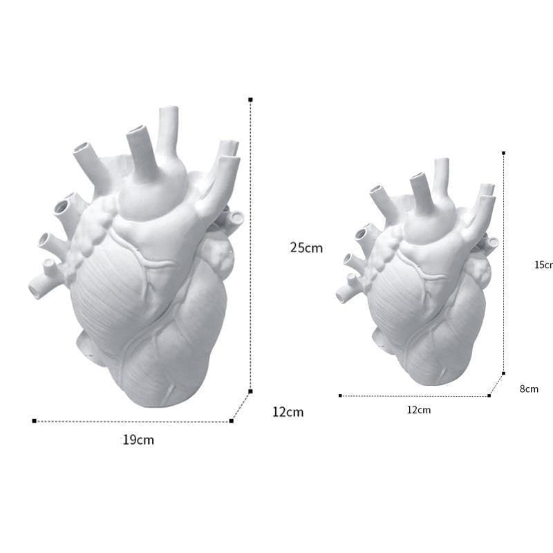Cardiora | Vase i Anatomisk Hjertedesign
