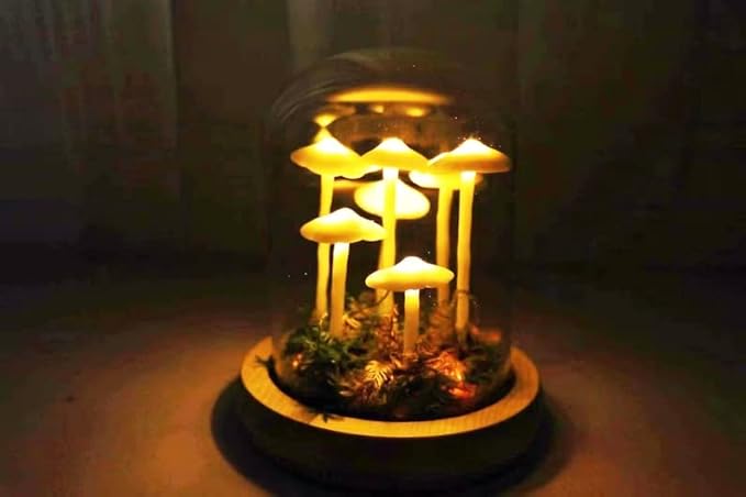 Mycelia | Svampe Lampe under Glaskuppel