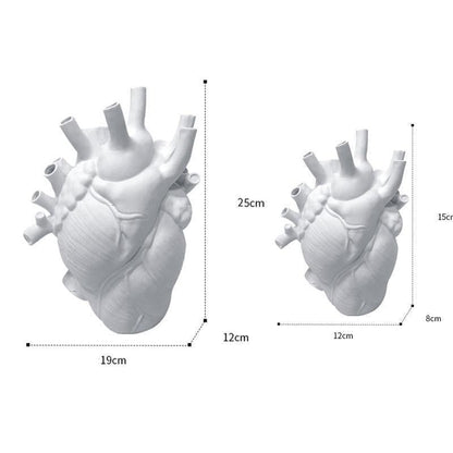 Cardiora | Vase i Anatomisk Hjertedesign